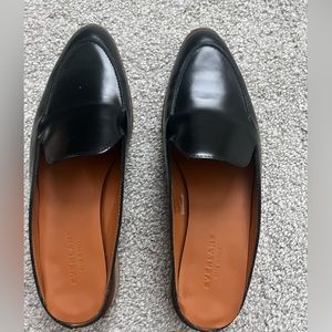 Everlane mules